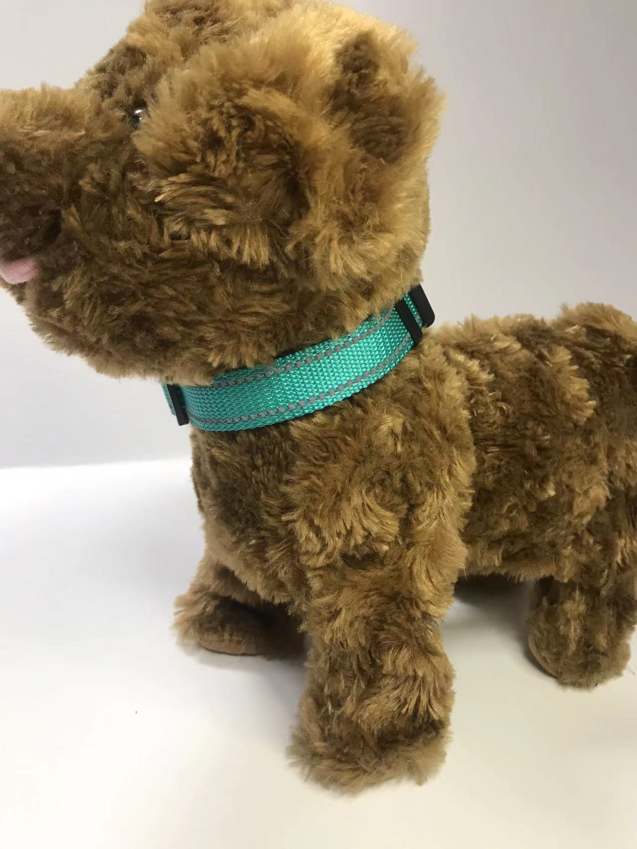 pet collar