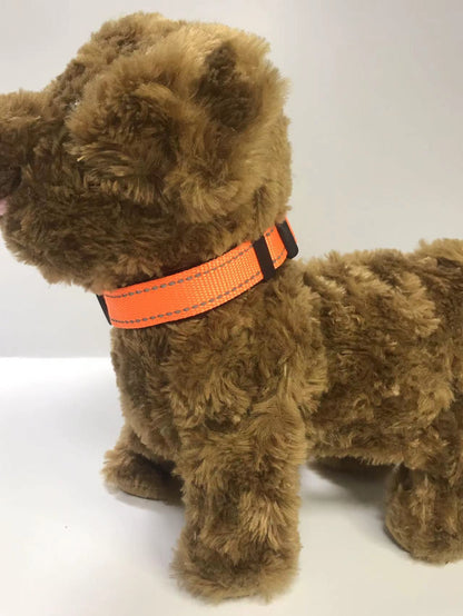 pet collar