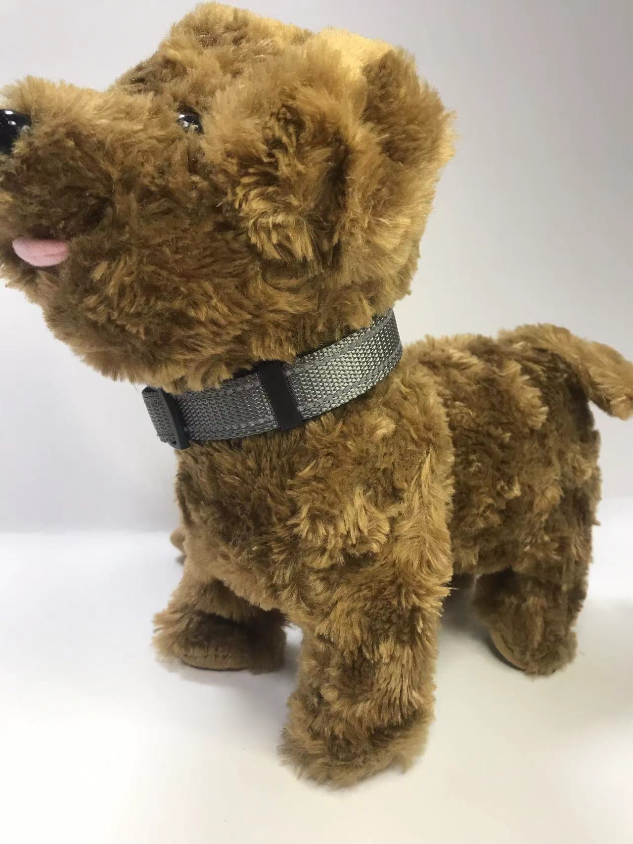 pet collar