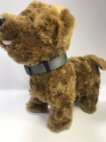 pet collar