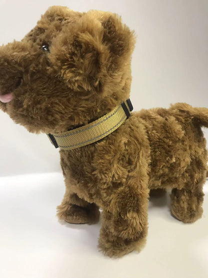 pet collar