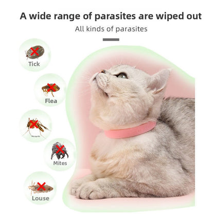 Pet Collar