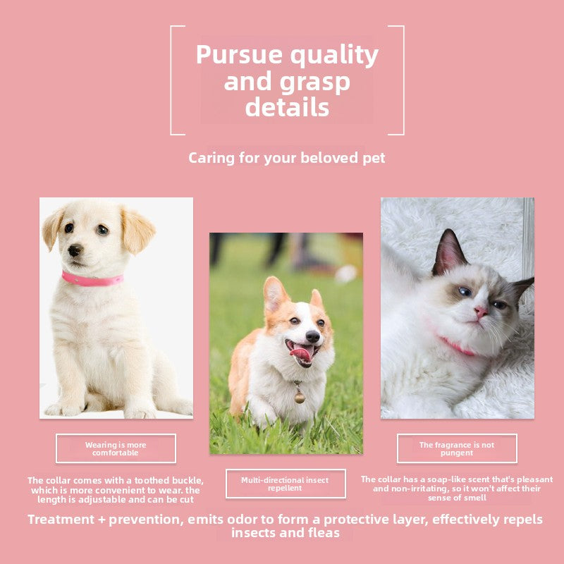 Pet Collar