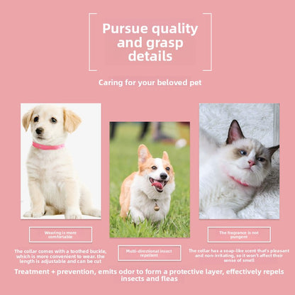 Pet Collar