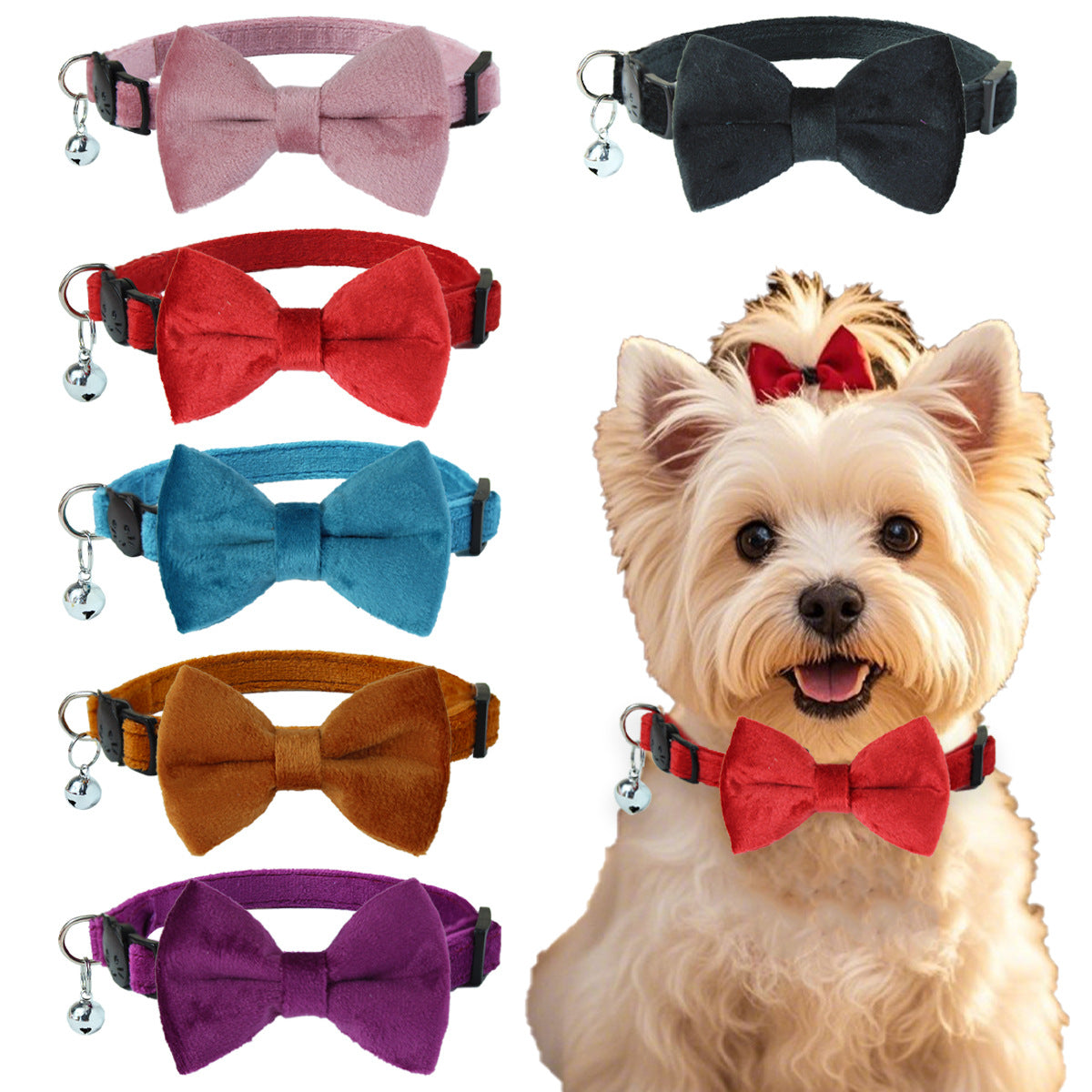 Pet collar