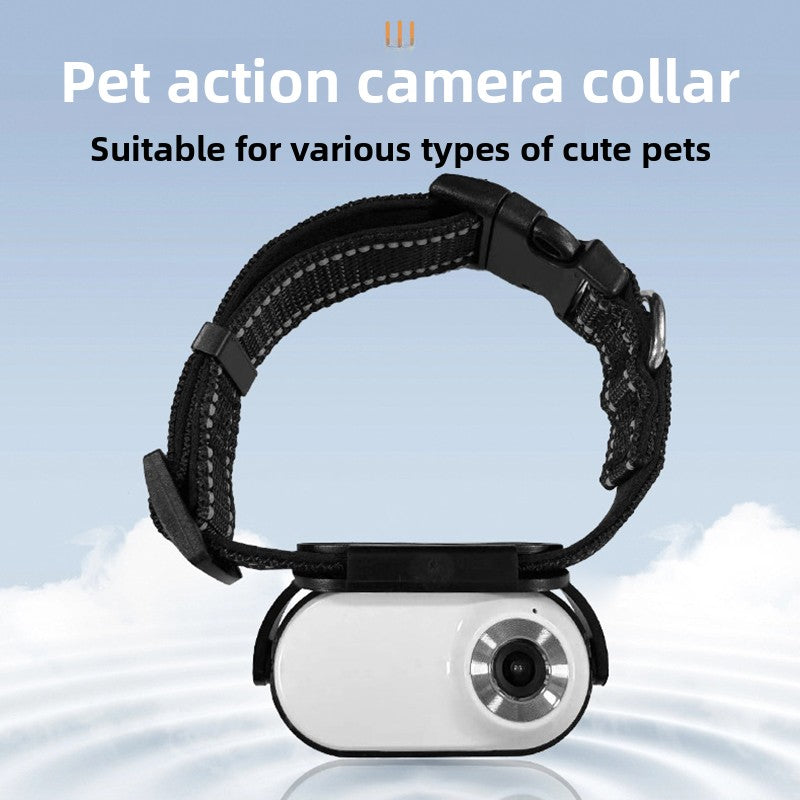 Pet Collar