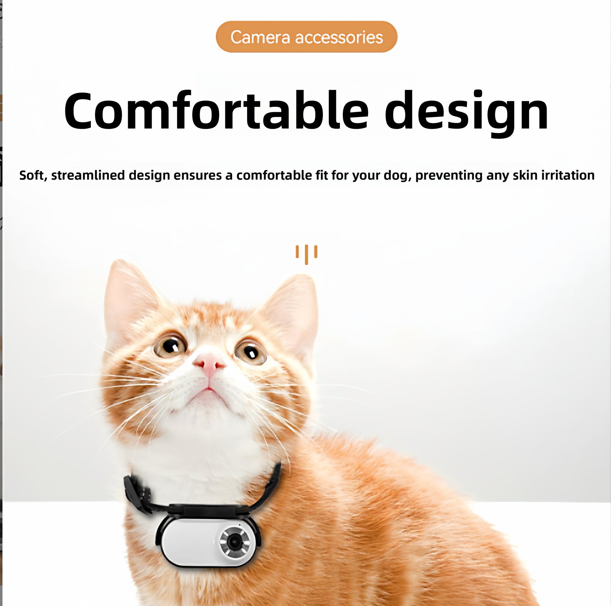 Pet Collar