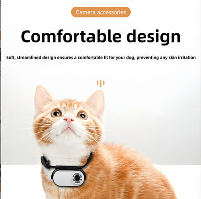 Pet Collar