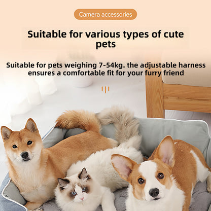 Pet Collar