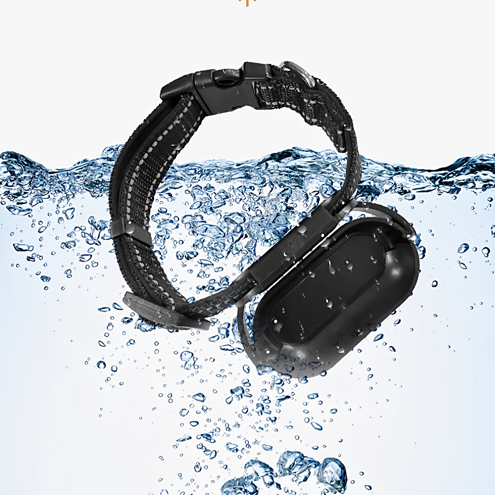 Pet Collar