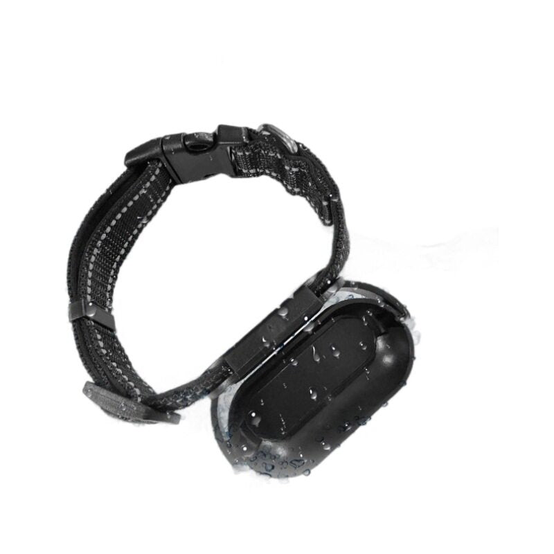 Pet Collar
