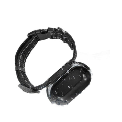 Pet Collar