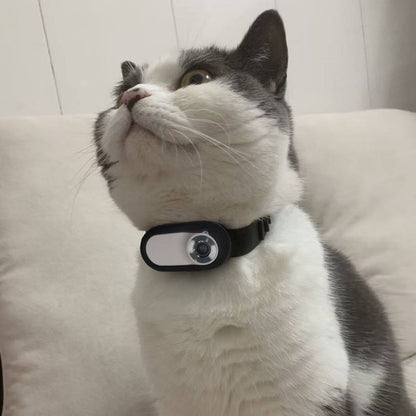 Pet Collar