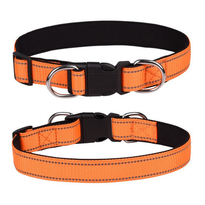 Pet Collar