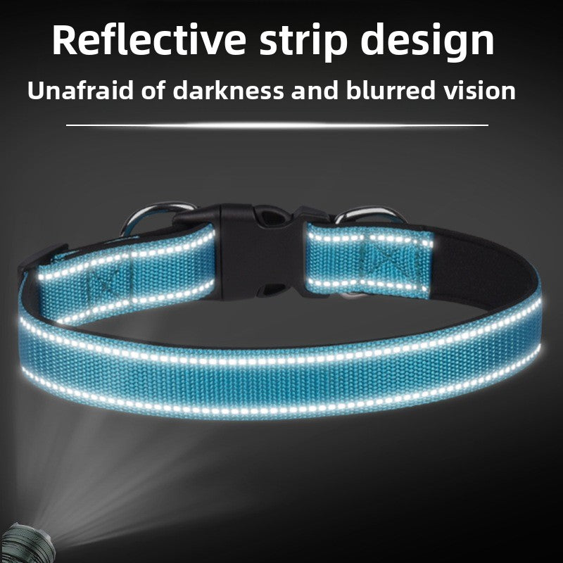 Pet Collar