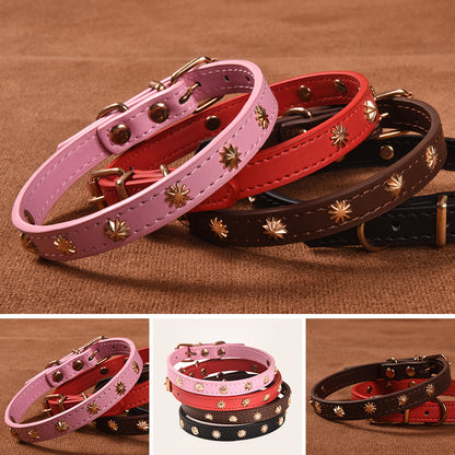 Pet collar