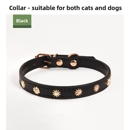 Pet collar