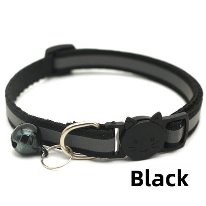 Pet Collar