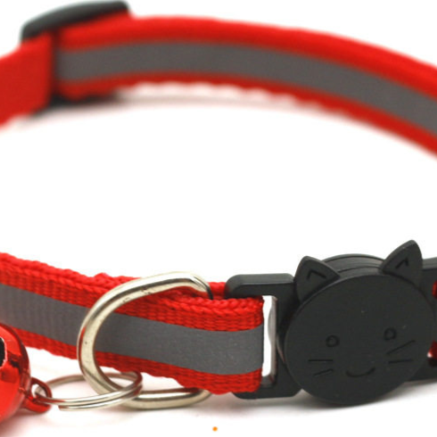 Pet Collar