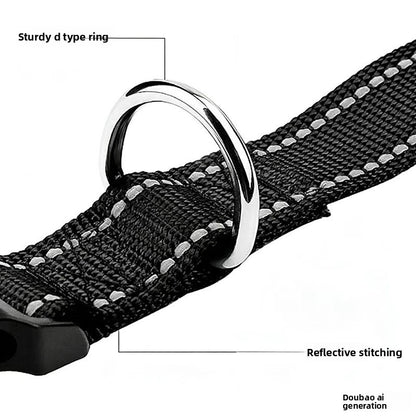 Pet Collar