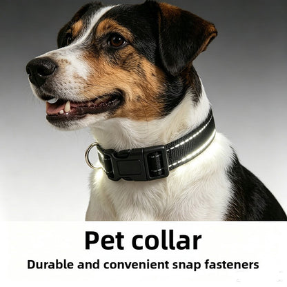 Pet Collar