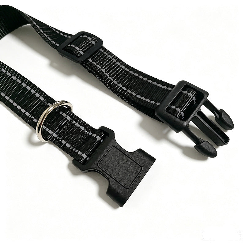 Pet Collar