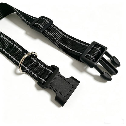 Pet Collar