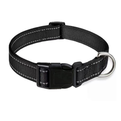 Pet Collar