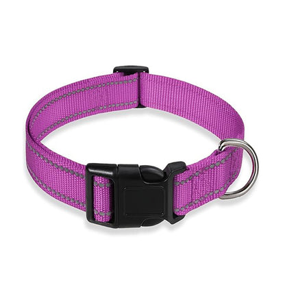 Pet Collar