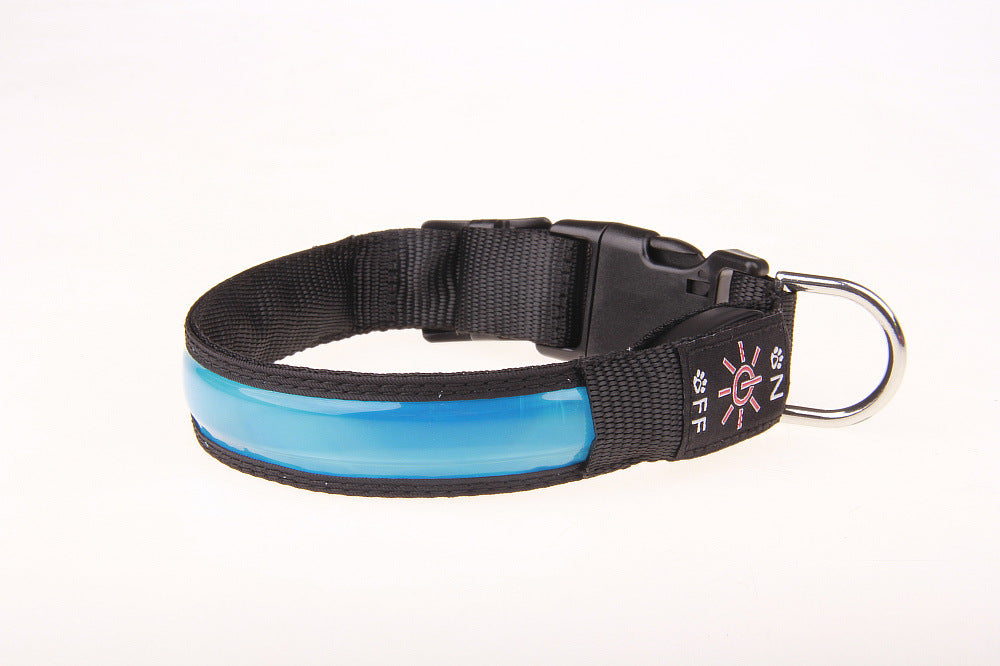 Pet Collar with Multiple Light Modes
