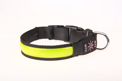 Pet Collar with Multiple Light Modes