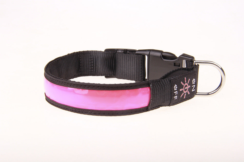 Pet Collar with Multiple Light Modes