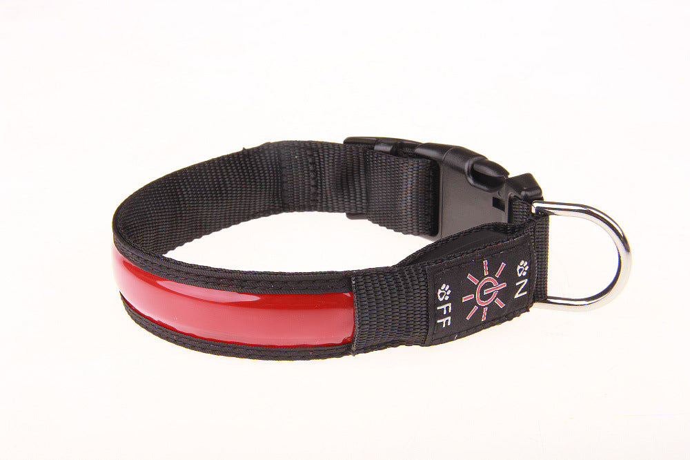 Pet Collar with Multiple Light Modes