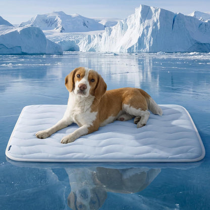 Pet Cooling Mat for Dogs