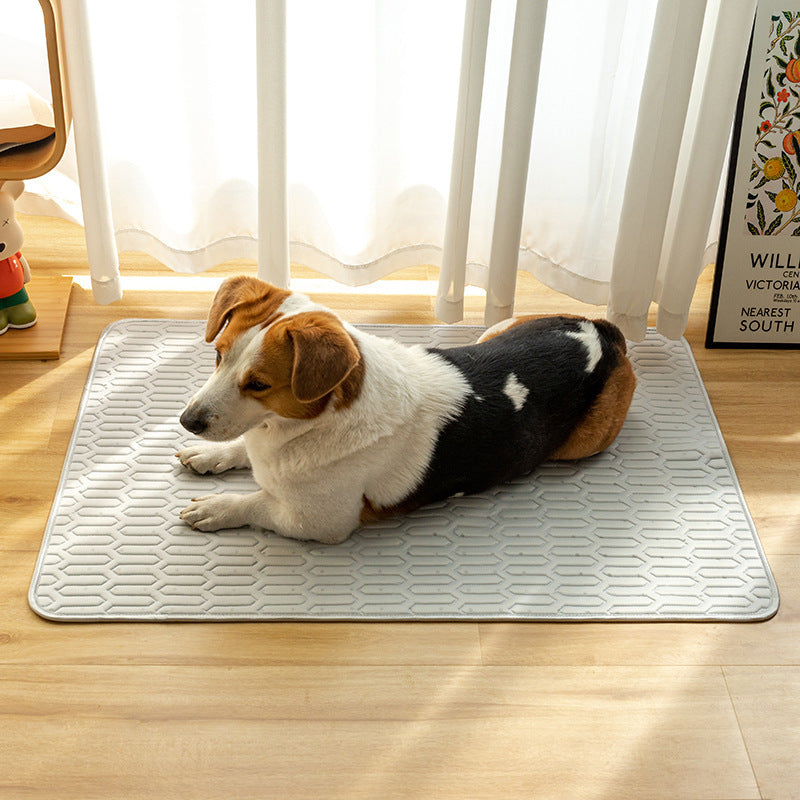 Pet cooling mat