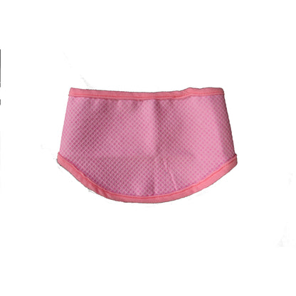 Pet Cooling Scarf for Cats and Dogs