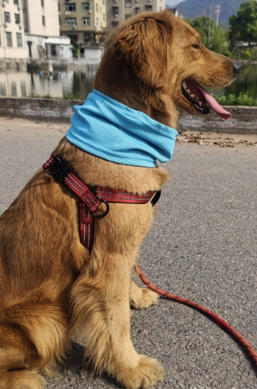 Pet Cooling Scarf for Dogs and Cats