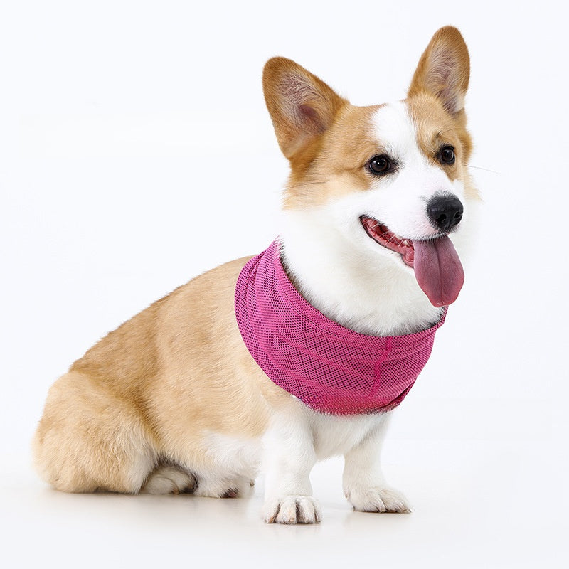 Pet Cooling Scarf for Dogs and Cats