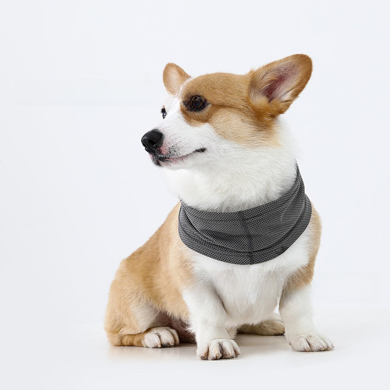 Pet Cooling Scarf for Dogs and Cats