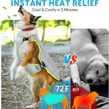 Pet Cooling Vest