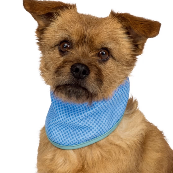 Pet Cooling Vest Summer Wear