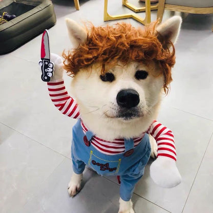Pet Costume