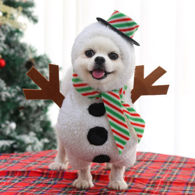 Pet Costume