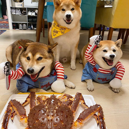 Pet Costume