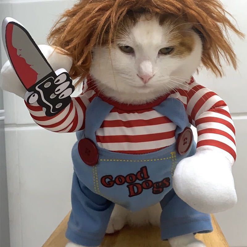 Pet Costume