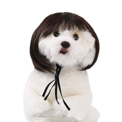 Dog wig bangs bob brown