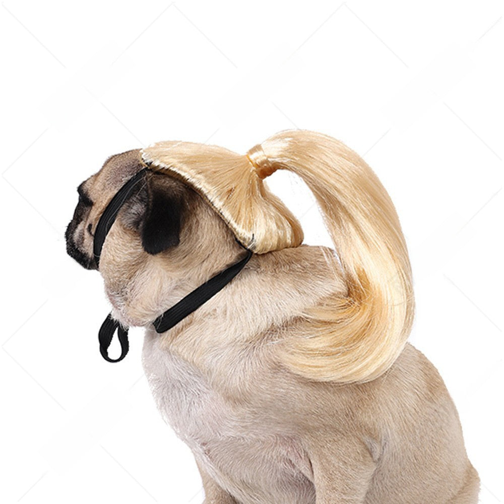 Pet Costume Wig