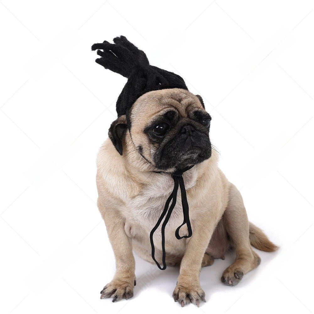 Pet Costume Wig
