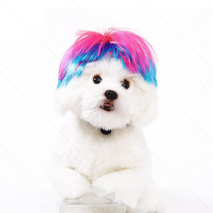 Pet Costume Wig