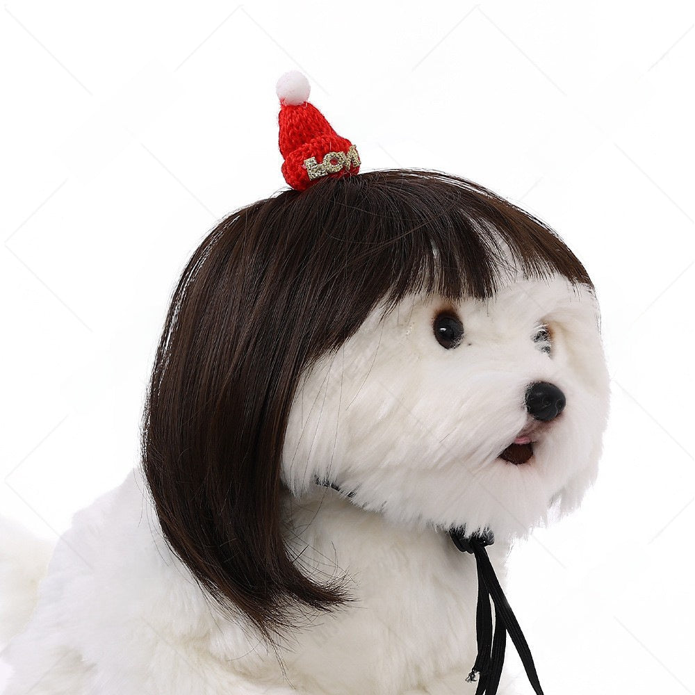 Pet Costume Wig